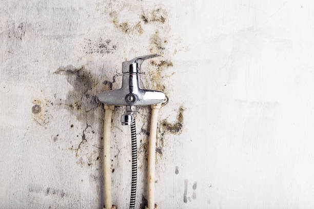 Best Industrial Mold Remediation in Lubbock, TX