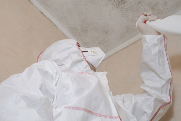 Best Emergency Mold Remediation in Lubbock, TX